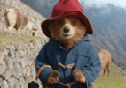 Paddington na Amazônia? Urso enfrenta freira enigmática para resgatar tia