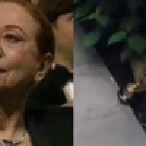 Oscar: estatueta que seria de Fernanda Montenegro virou peso de porta; veja