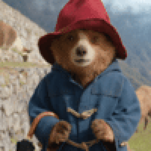 Paddington na Amazônia? Urso enfrenta freira enigmática para resgatar tia